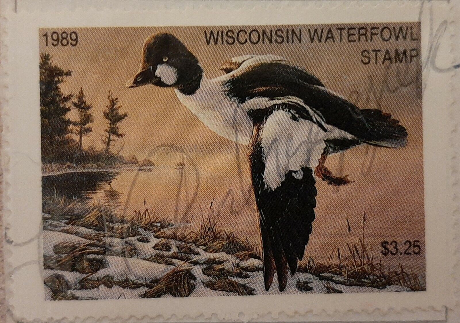 1989 Wisconsin Department of Natural Resources State Waterfowl Stamp